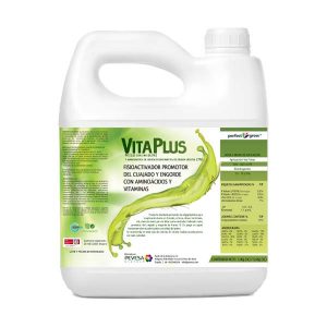 VitaPlus