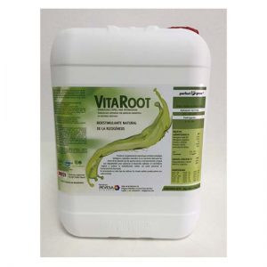 VitaRoot